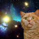 Illustration for article titled My God, Its Full Of Cats! The Very Best Artwork Of Cats In Space